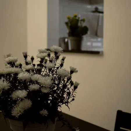 Pietra Papa Appartement Rome
